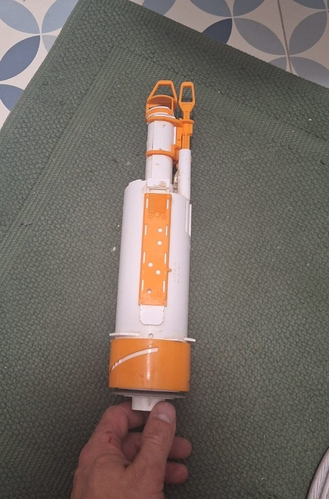 zatwierdzone zdjęcie