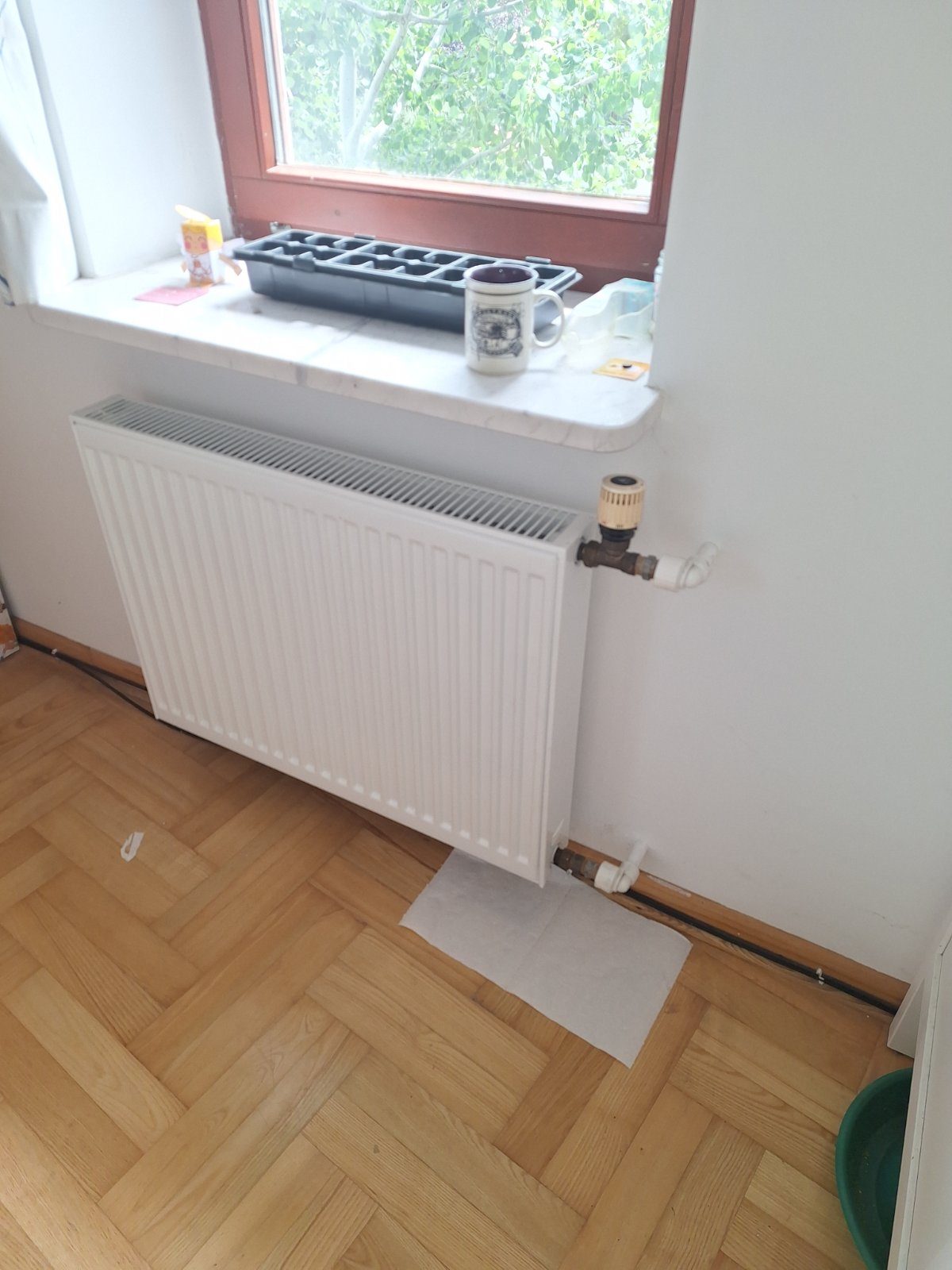 zatwierdzone zdjęcie